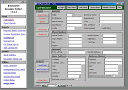 [BiGAUSTIN Database System]