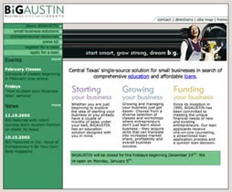 [BiGAUSTIN website]
